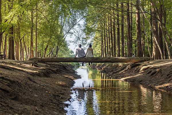 Journey through the echoes of history and nature
