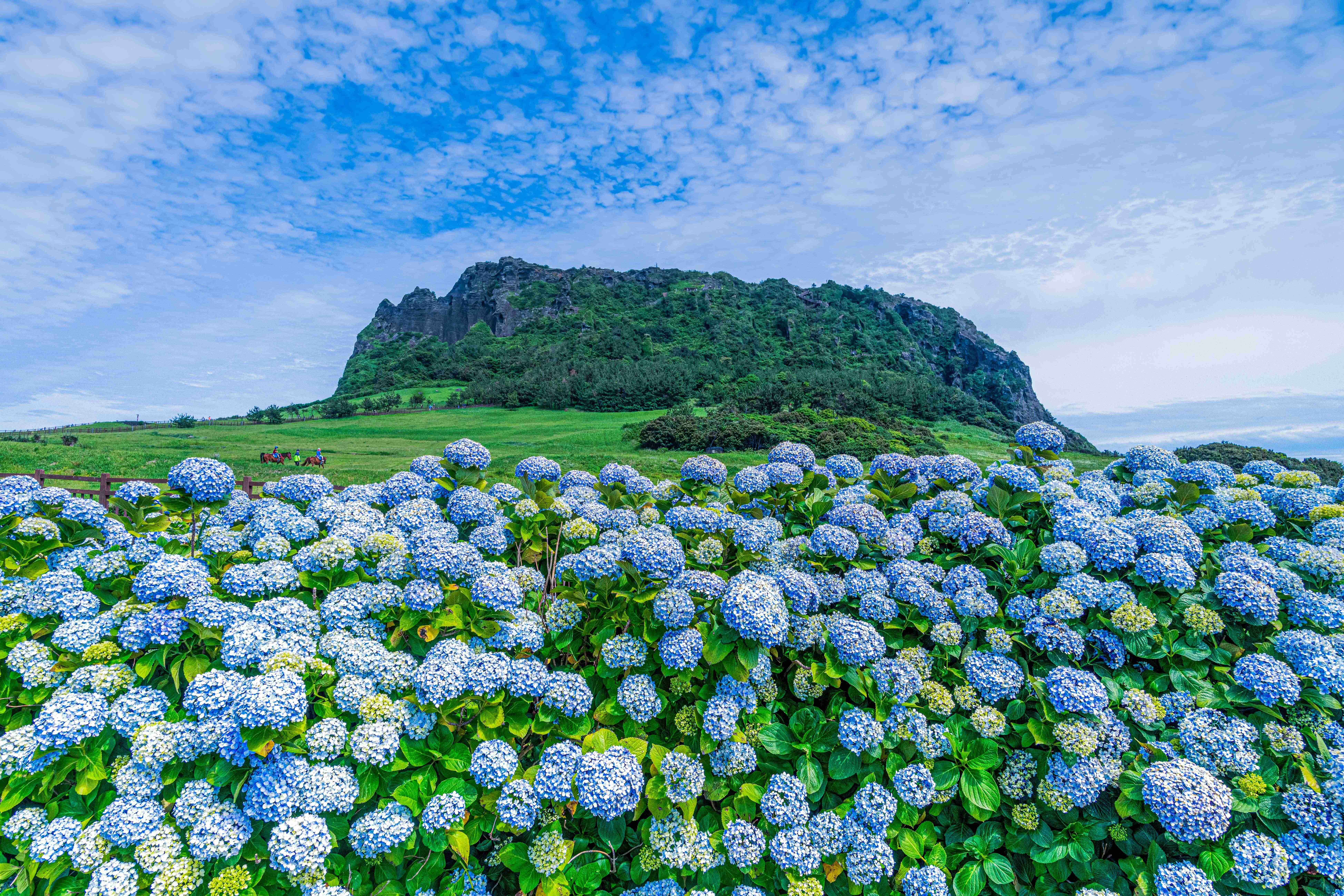 Find your travel inspiration to Korea!